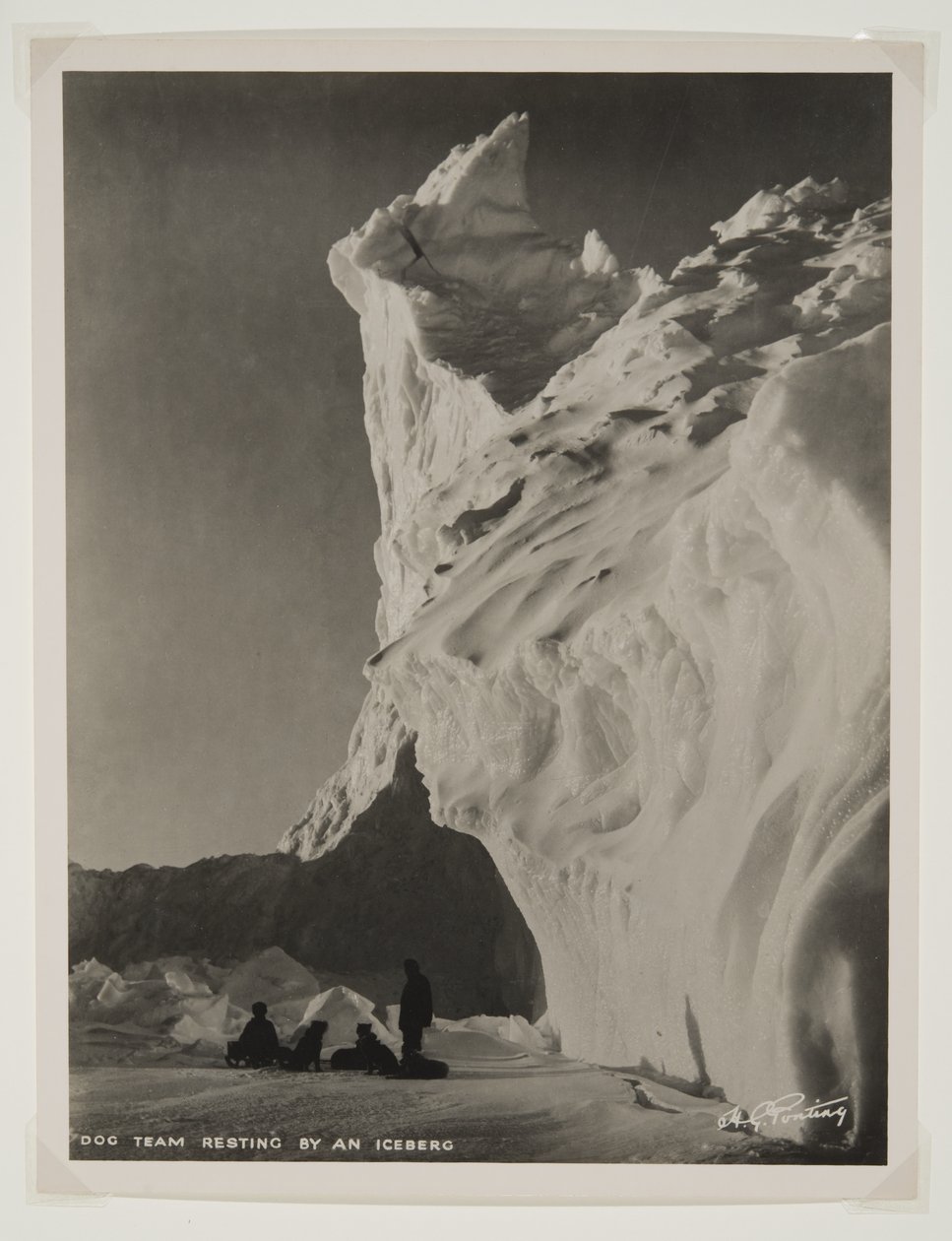 Dog Team Resting by an Iceberg by Herbert Ponting
