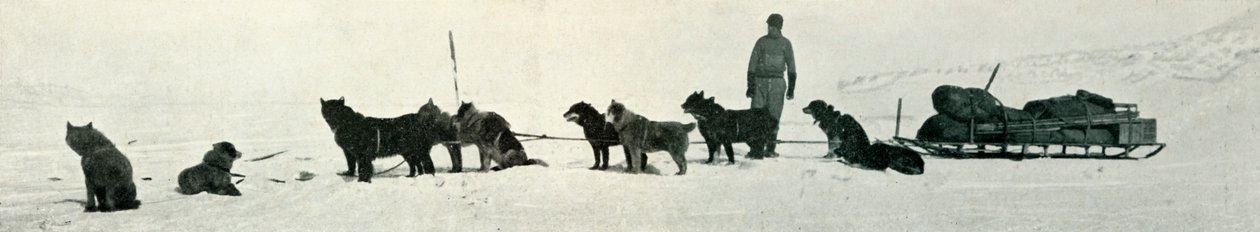 Dogs with Stores About to Leave Hut Point by Herbert Ponting
