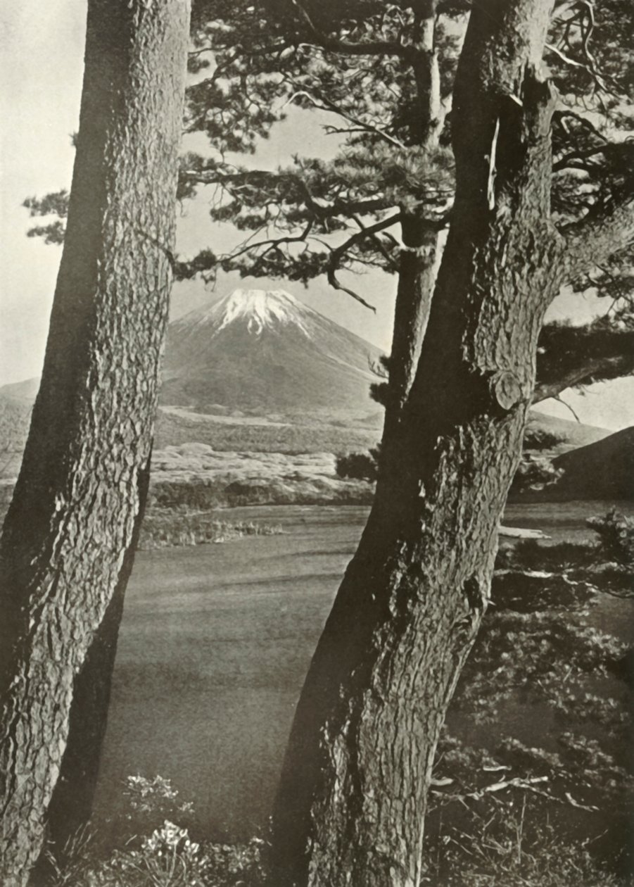 Fuji Through the Pines of Lake Motosu by Herbert Ponting