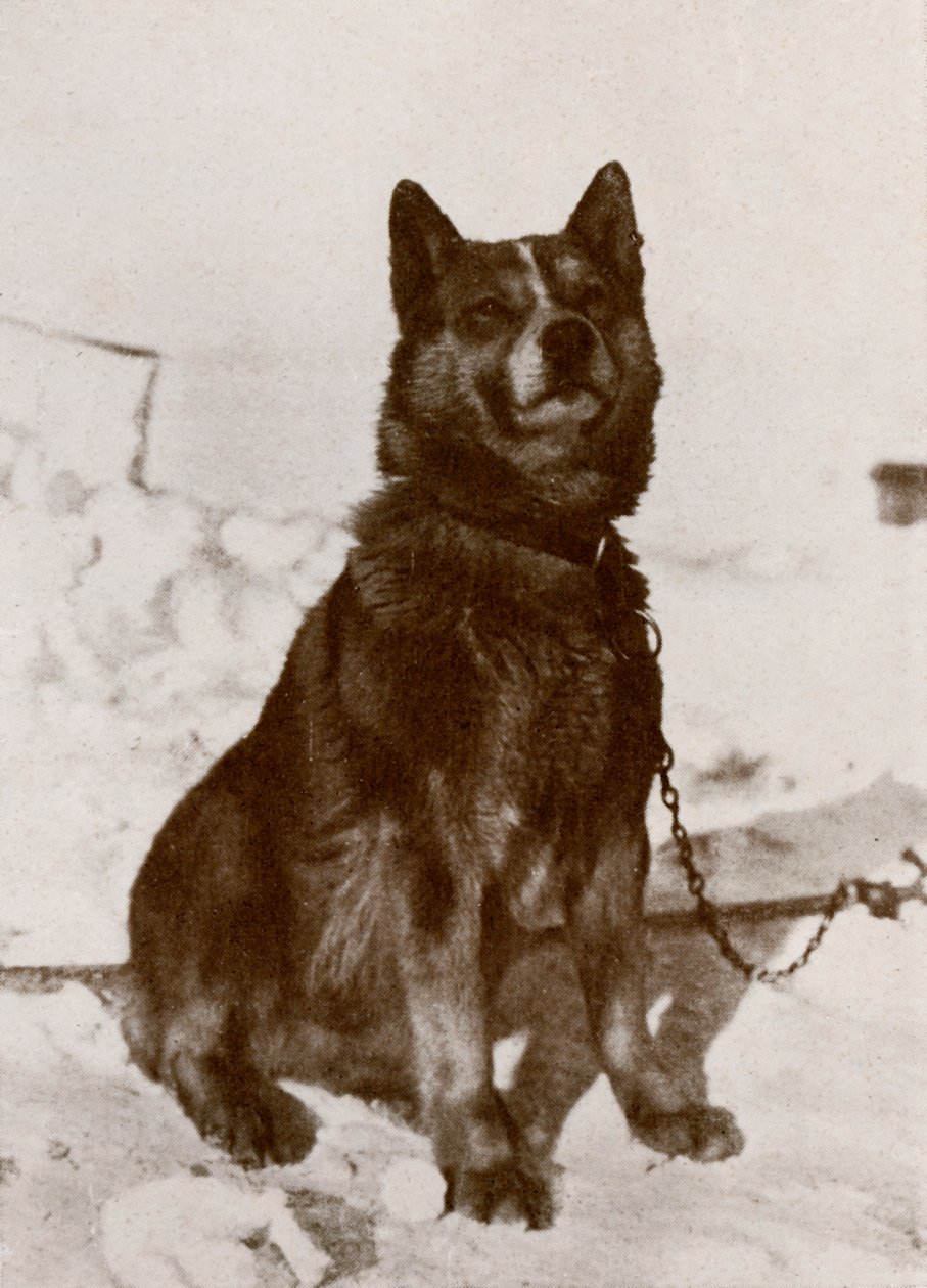 Krisravitsa by Herbert Ponting