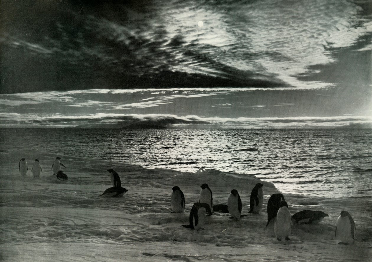 The Midnight Sun in McMurdo Sound by Herbert Ponting