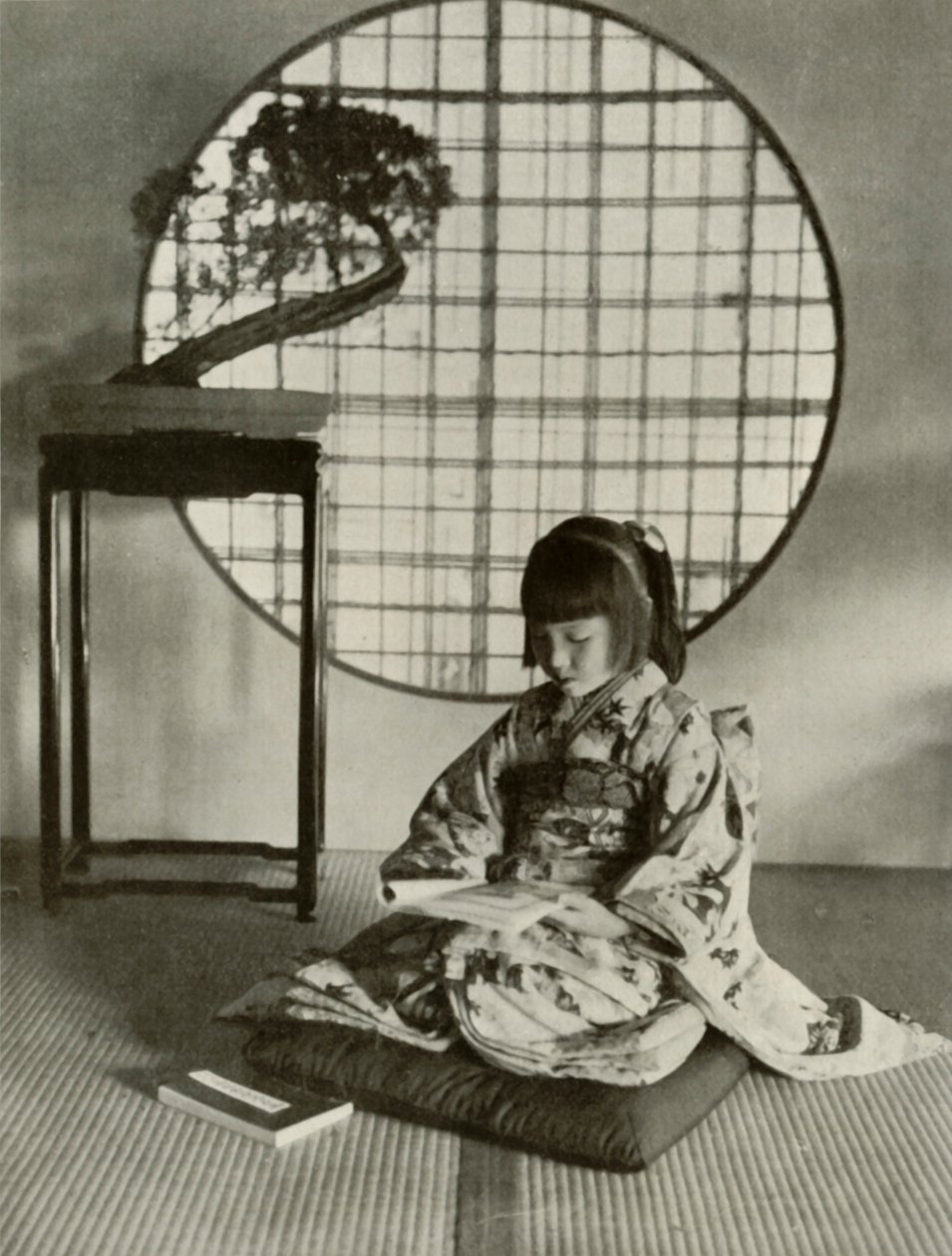 The Picture-Book by Herbert Ponting