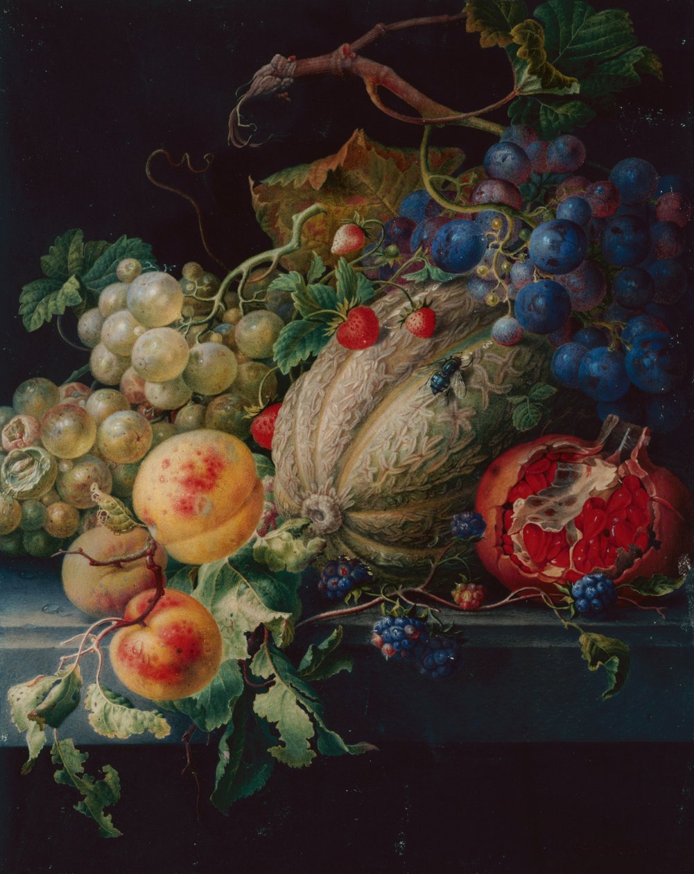 Fruit Still Life on a Stone Ledge by Herman Henstenburgh