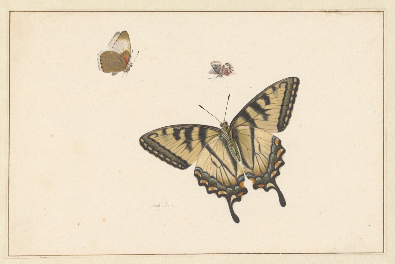 Three Butterflies by Herman Henstenburgh