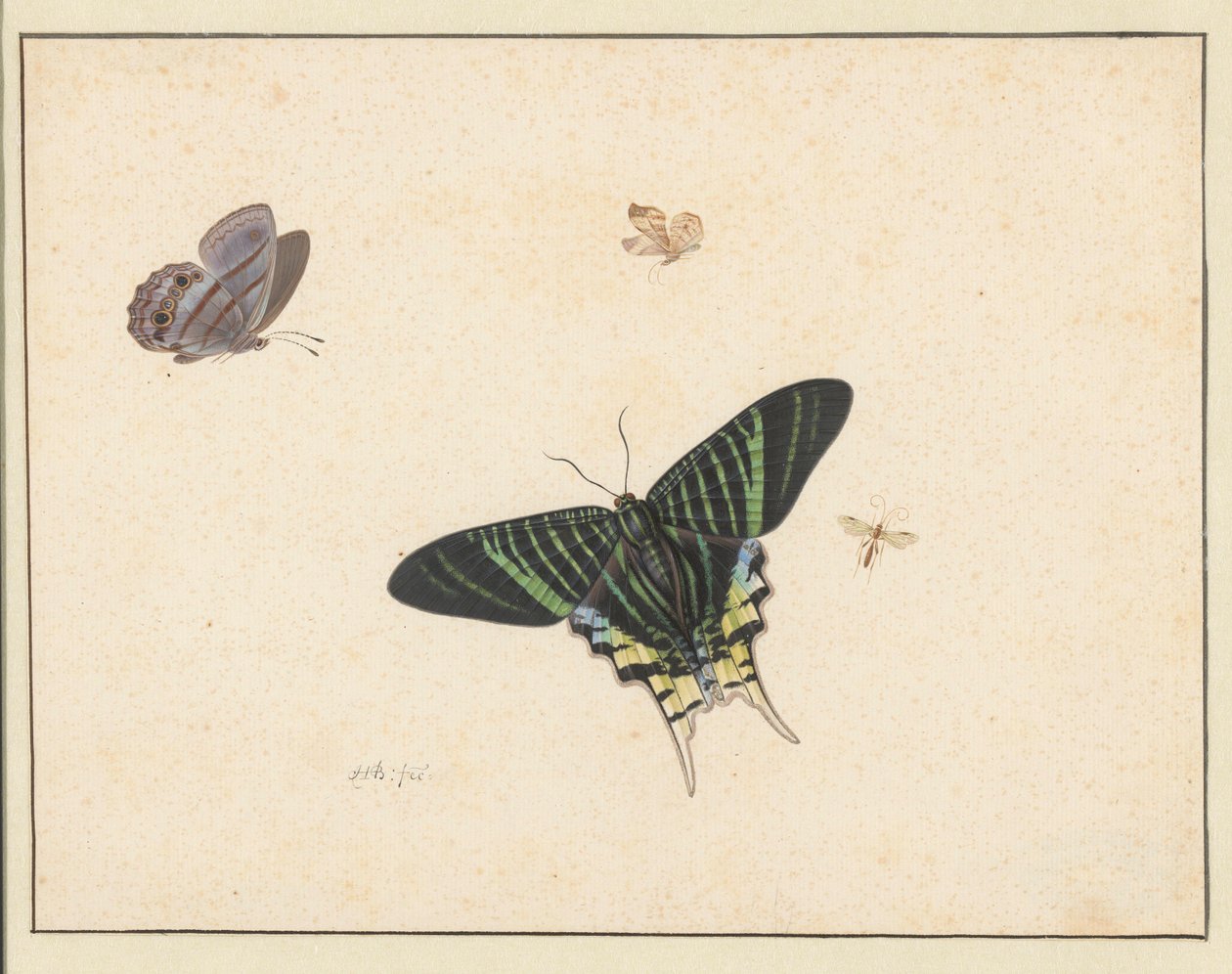 Three Butterflies and a Wasp or Fly by Herman Henstenburgh