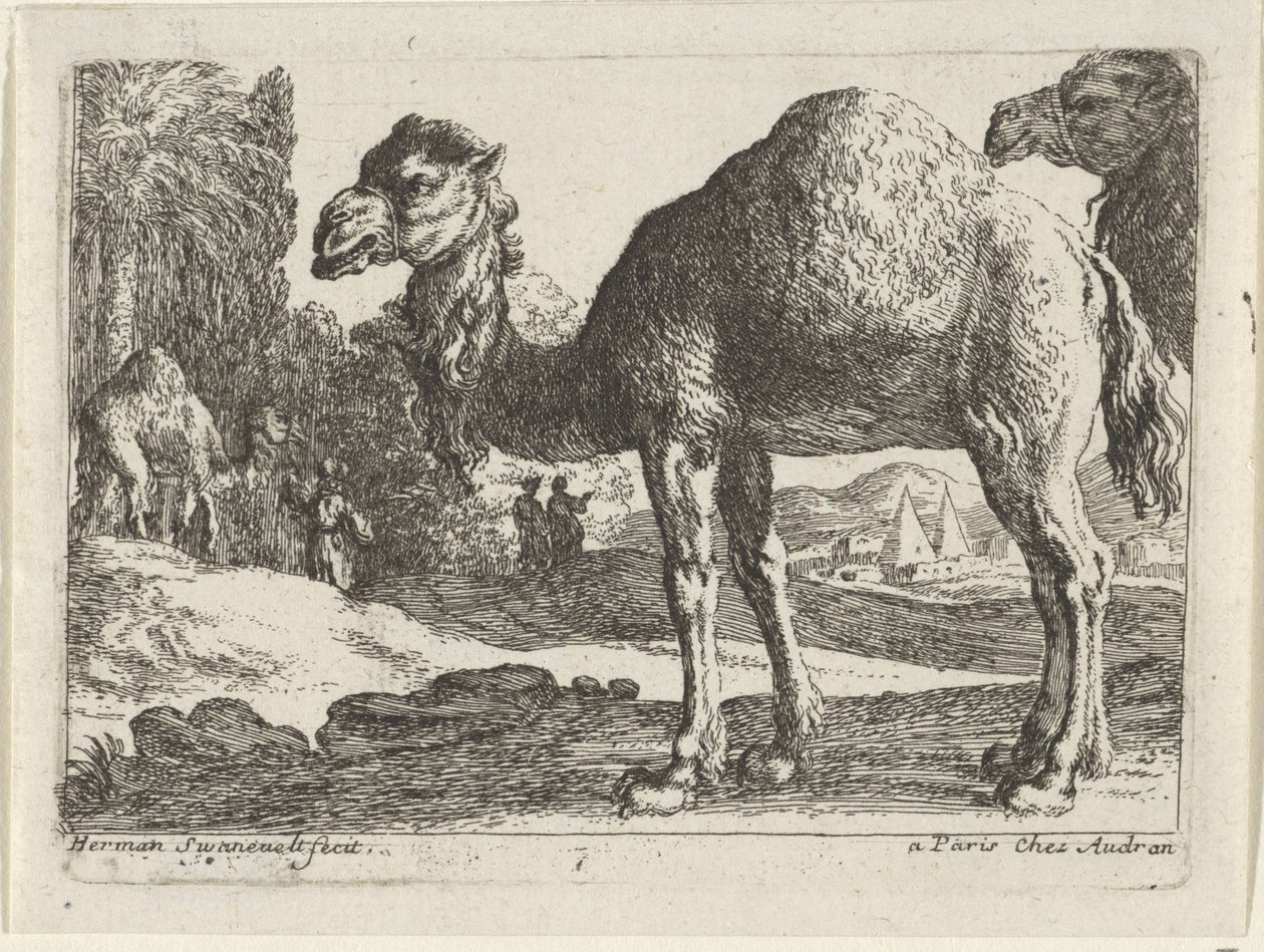 Camels (series: Landscapes with Animals) by Herman van Swanevelt