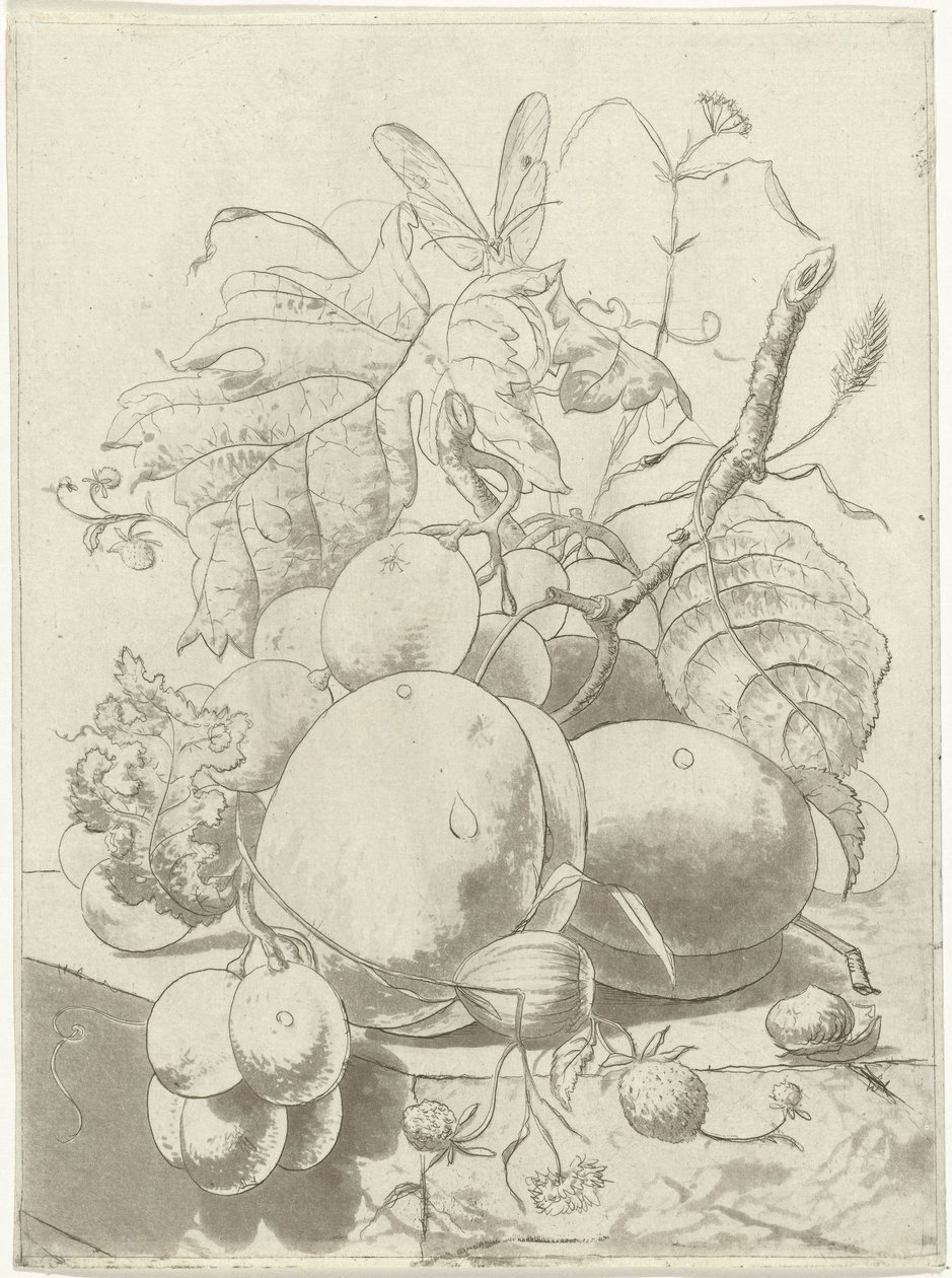 Fruits and a Branch with a Butterfly by Hermanus Fock
