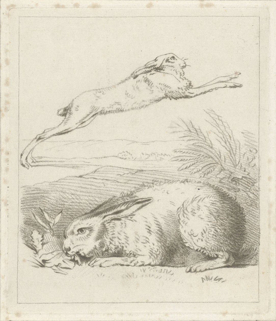 Hare and Rabbit by Hermanus Numan