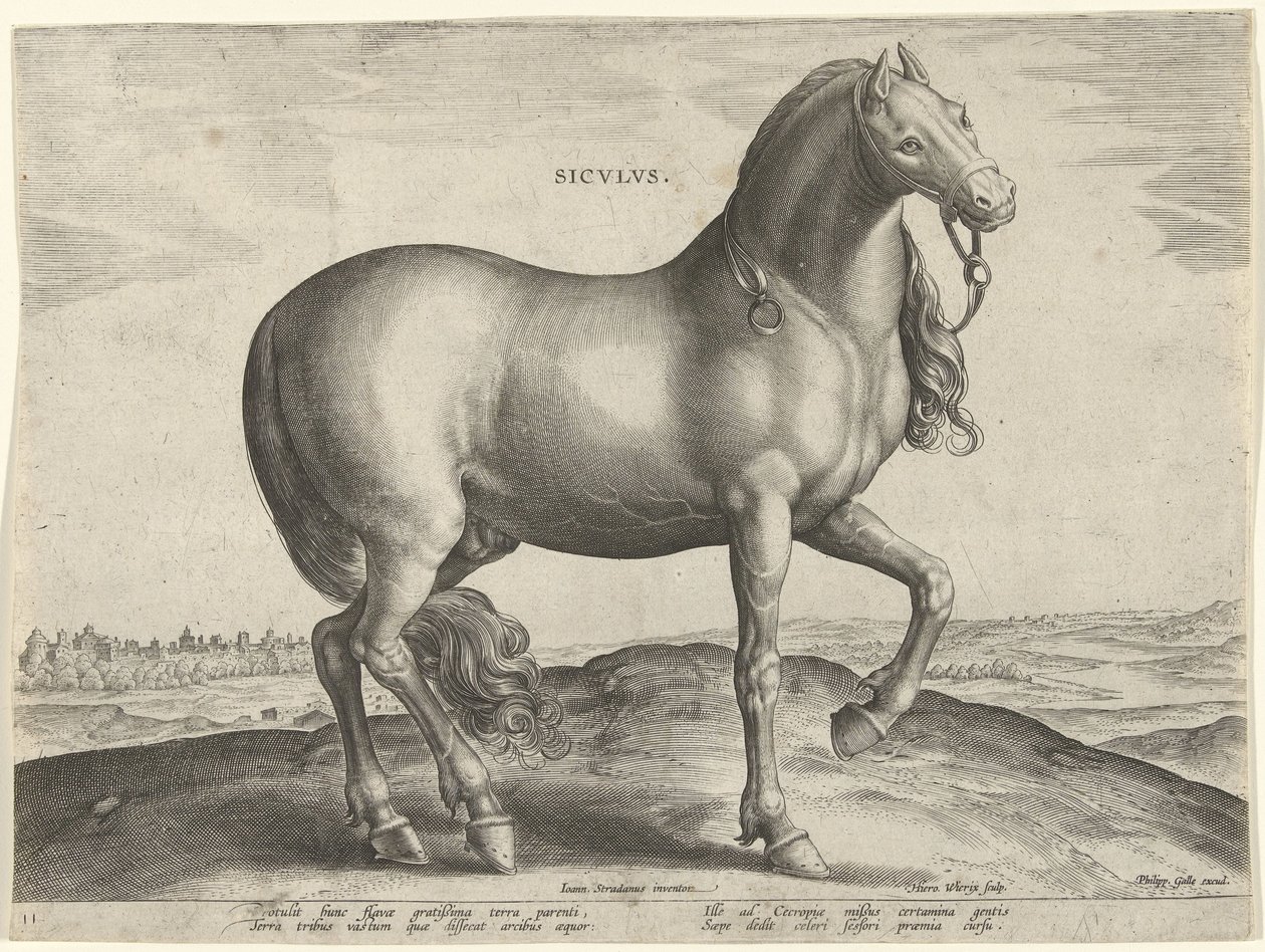 Horse from Sicily by Hieronymus Wierix
