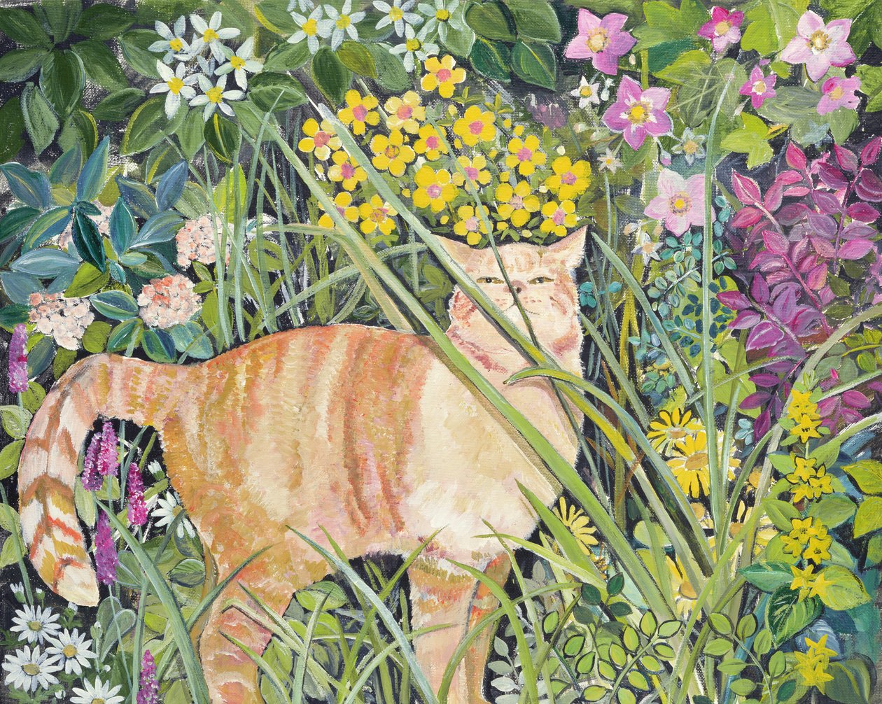 Cat and Long Grass by Hilary Jones