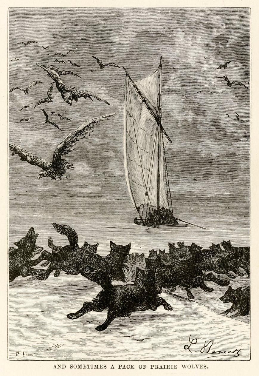 And sometimes a pack of prairie wolves, from Around the World in Eighty Days by Jules Verne, engraved by Louis, 1873 by Hippolyte Leon after Benett