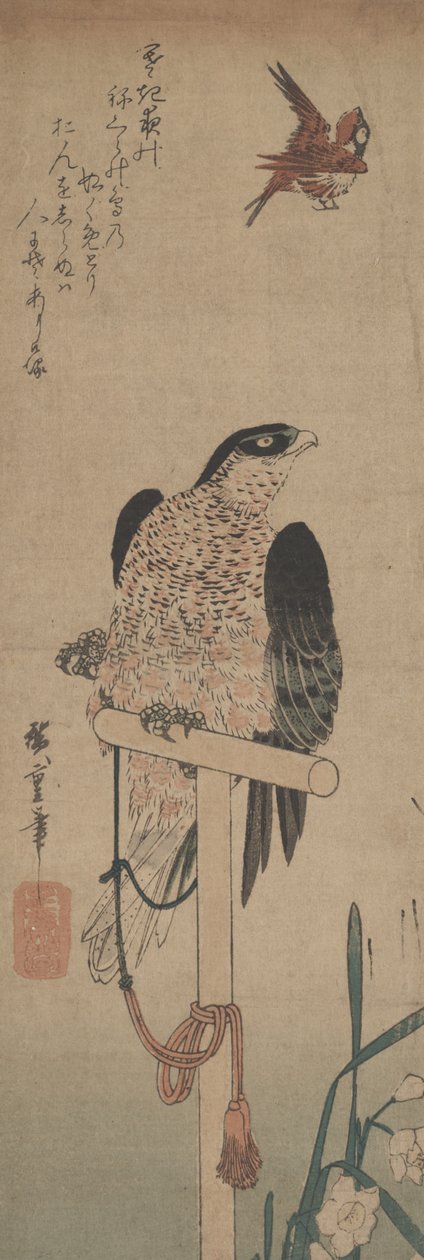 Falcon on Perch, Sparrow, and Narcissus by Hirokage Utagawa