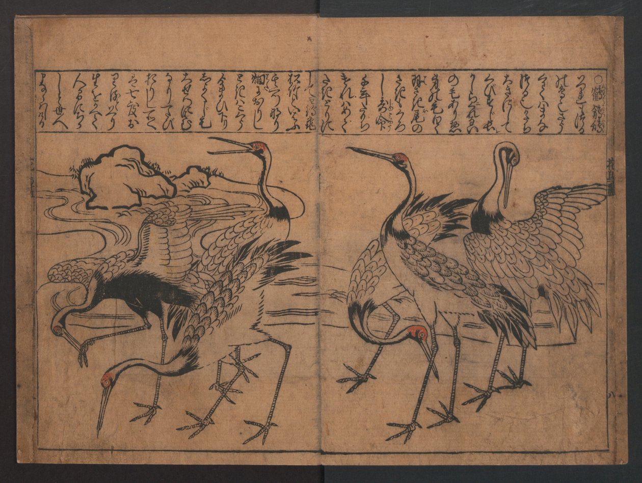 Illustrations of Birds and Flowers (Kachō e-zukushi) by Hishikawa Moronobu