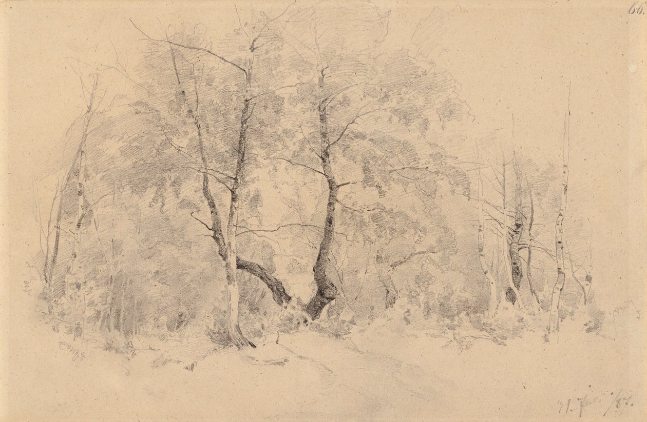 Birch Grove by Hjalmar Munsterhjelm