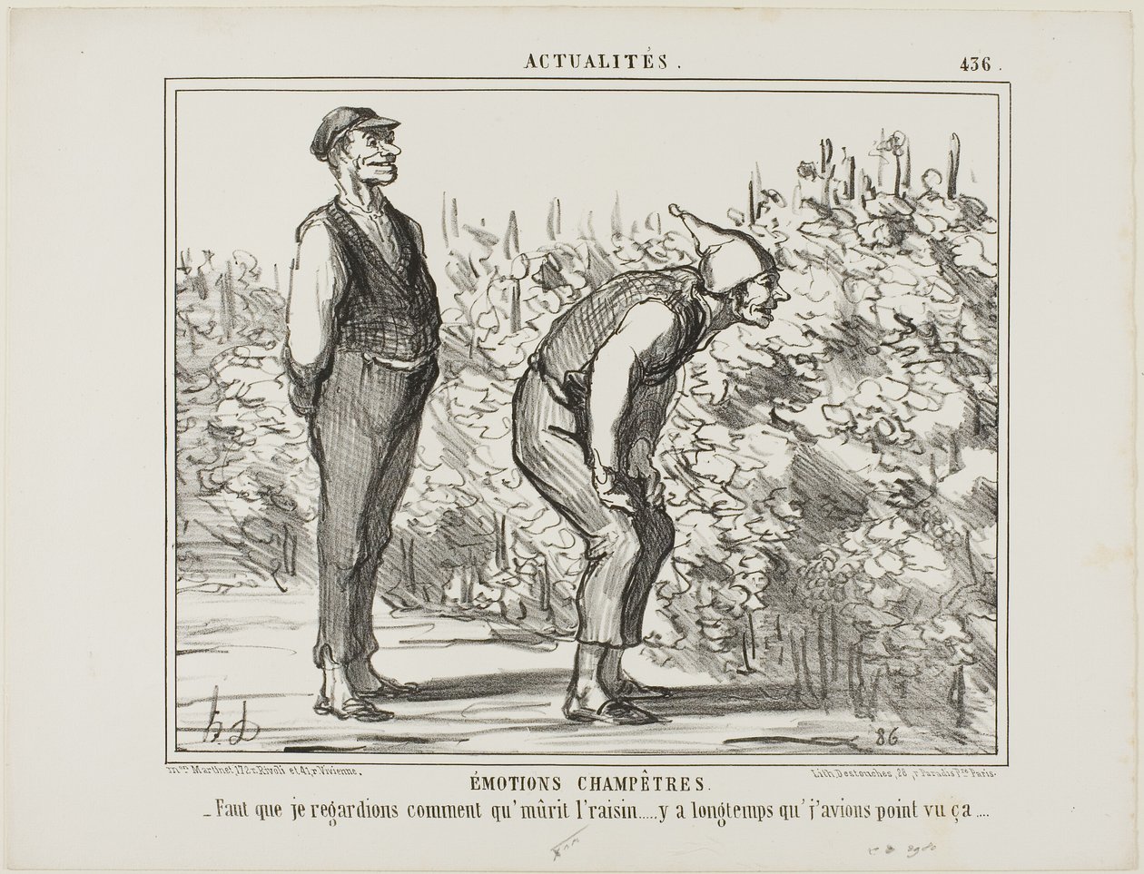 Emotions From the Countryside. "- Have to see how the wine grows… haven
