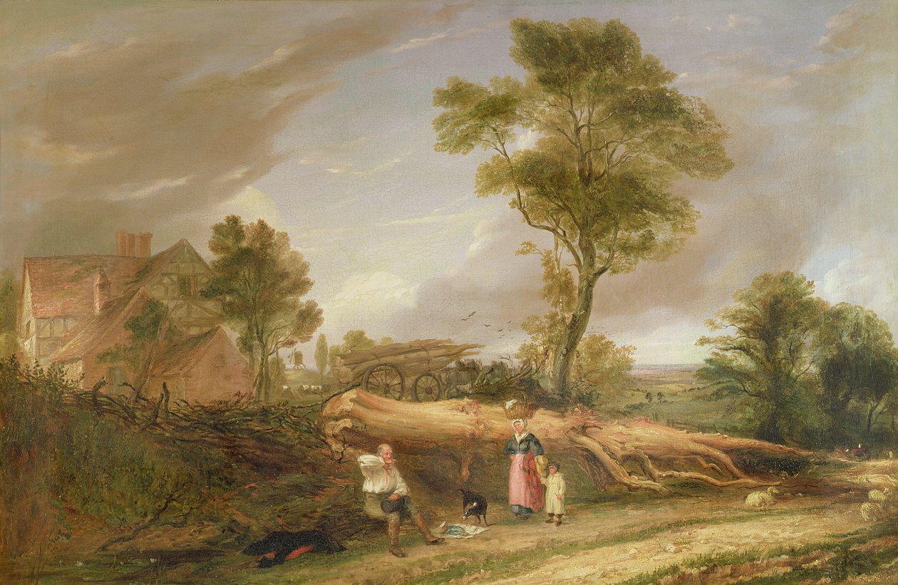 The Woodcutter