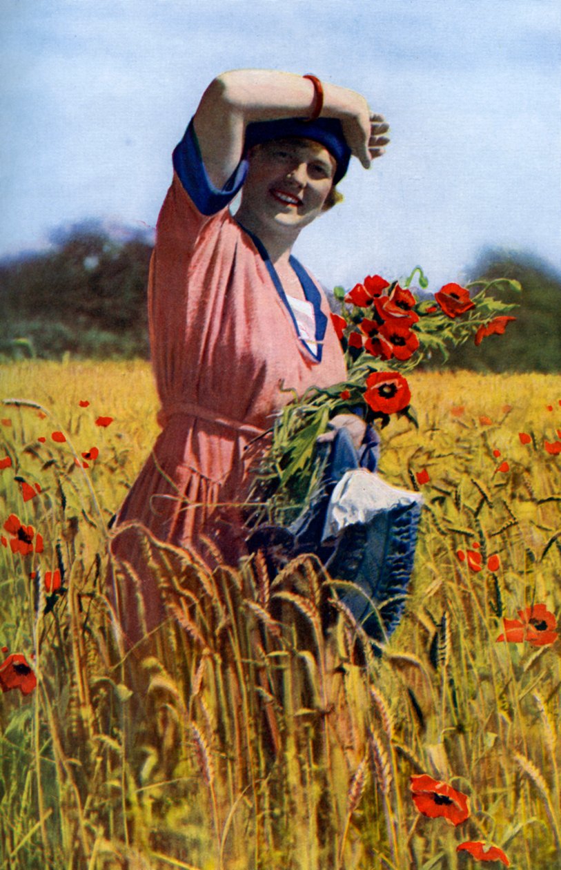 The English Rose, c1922 by Horace Walter Nicholls