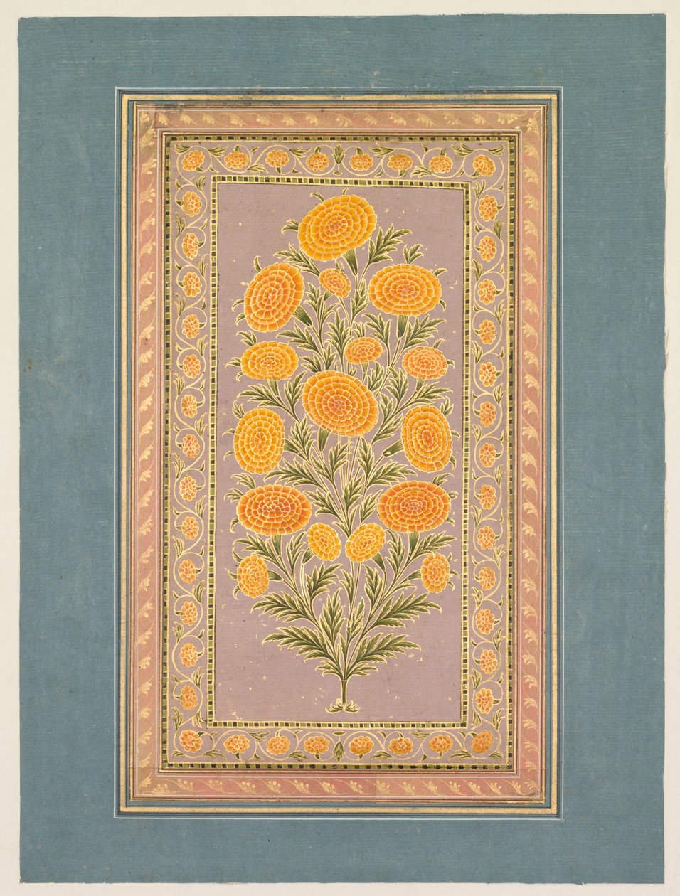 Flowering Marigold by Hunhar II