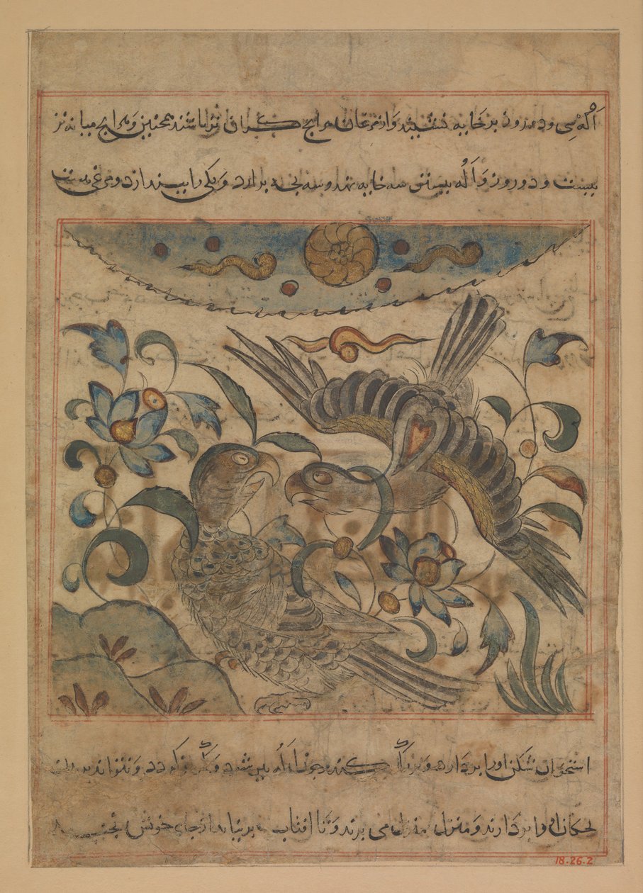 Pair of Eagles, Folio from a Manafi
