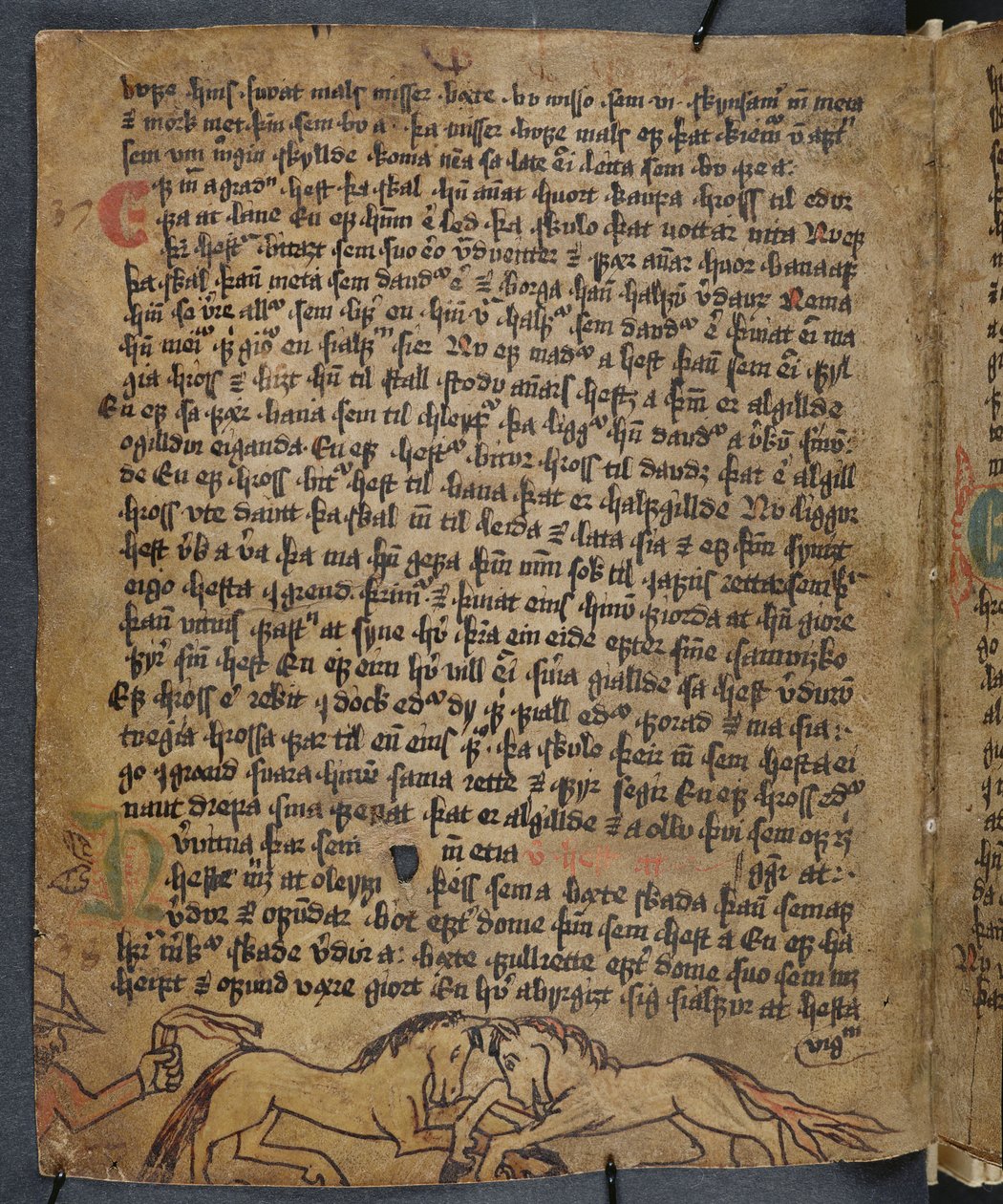 Horse Fight, from Heynesbok (The Book of Heynes), 1st half of 16th century by Icelandic School