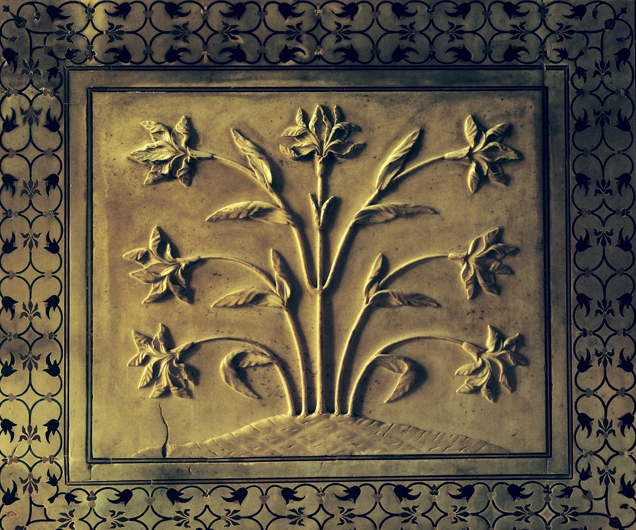 Flowering plant (detail) by Indian School