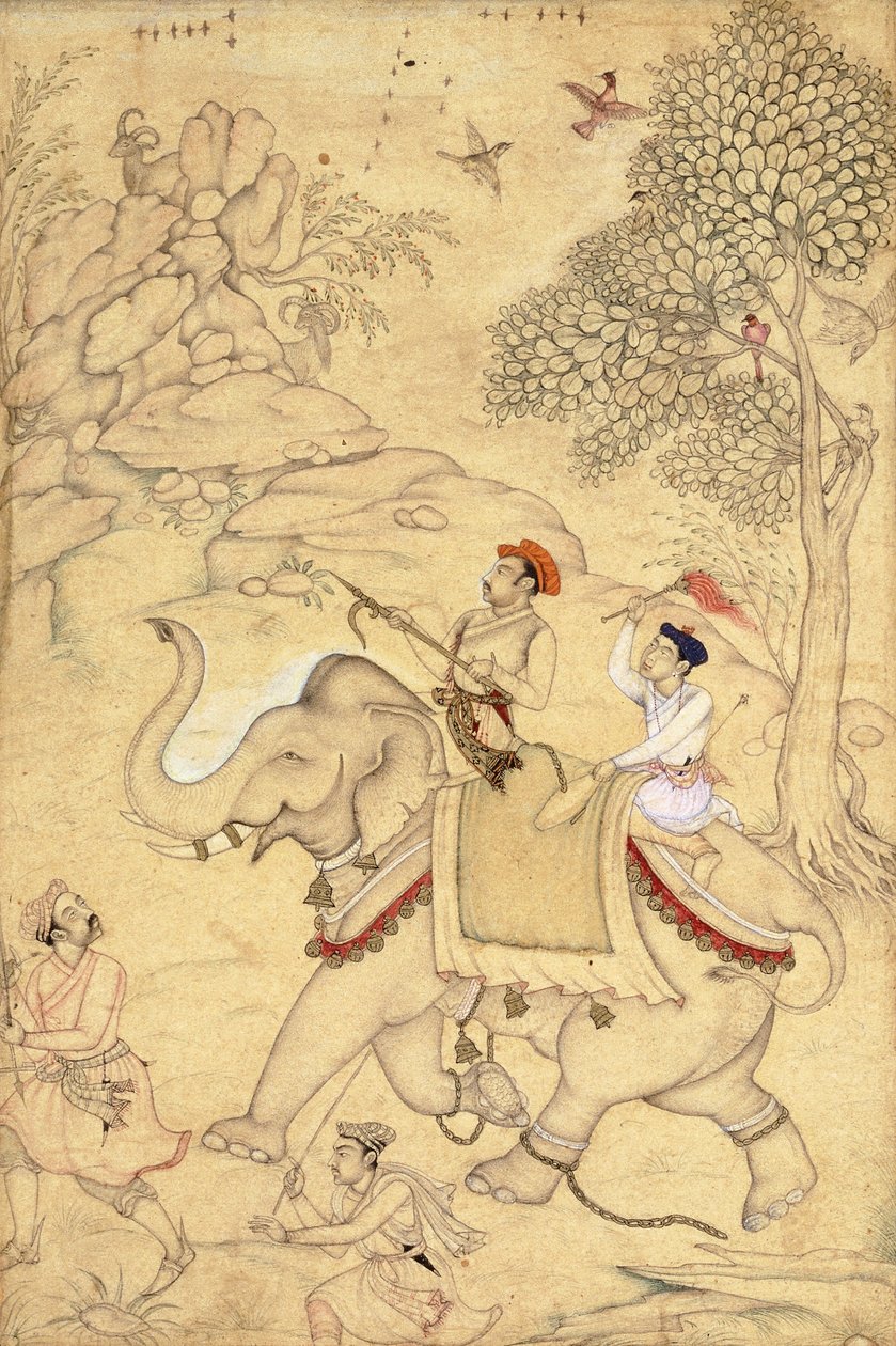 A Prince Hunting, Mounted on an Elephant, c.1600-1650 by Indian School