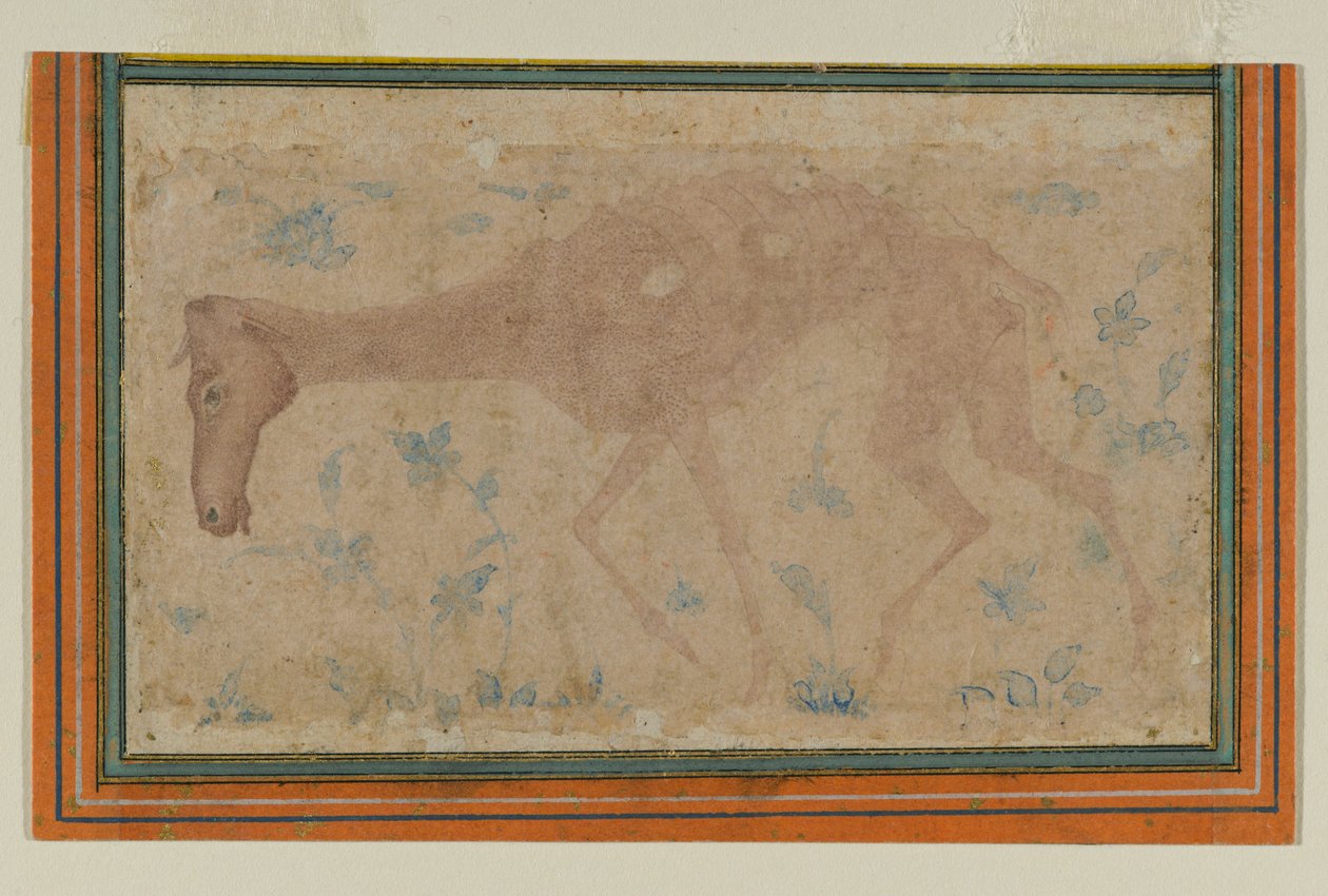 An Emaciated Horse by Indian School