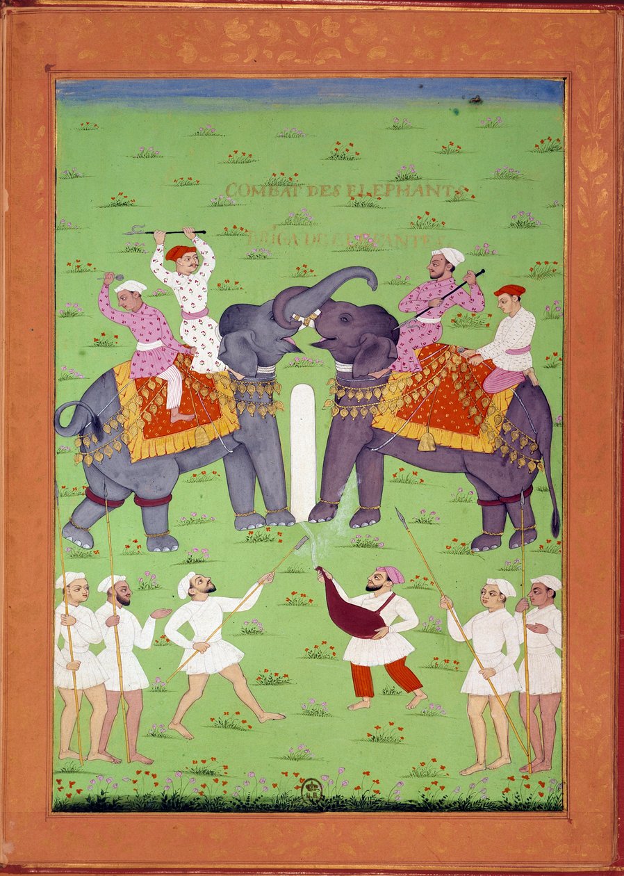 Battle of Two Elephants at the Court of Shah Alem. Indian and Persian miniatures in History of India from Tamertante to Orangreyb by Niccolo Manucci by Indian School