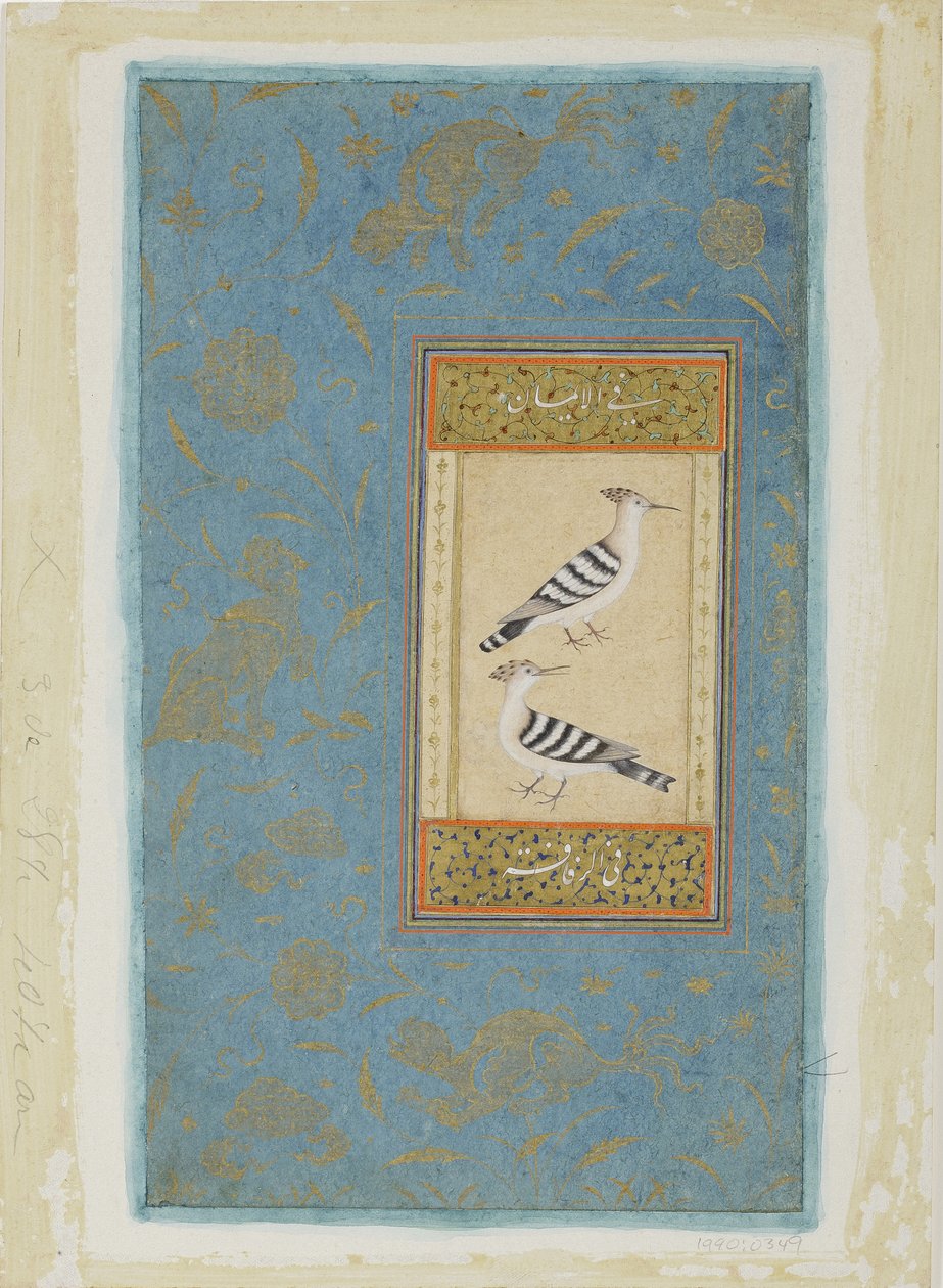 Hoopoes by Indian School
