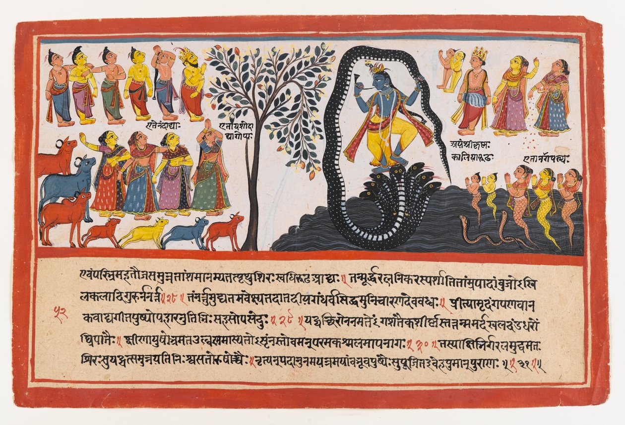 Krishna Conquers the Serpent Kaliya, page from a Dispersed Bhagavata Purana Series by Indian School