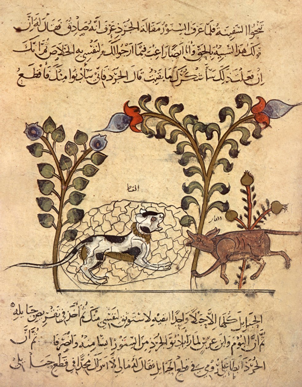 The Cat and the Rat, Arab Miniature from 