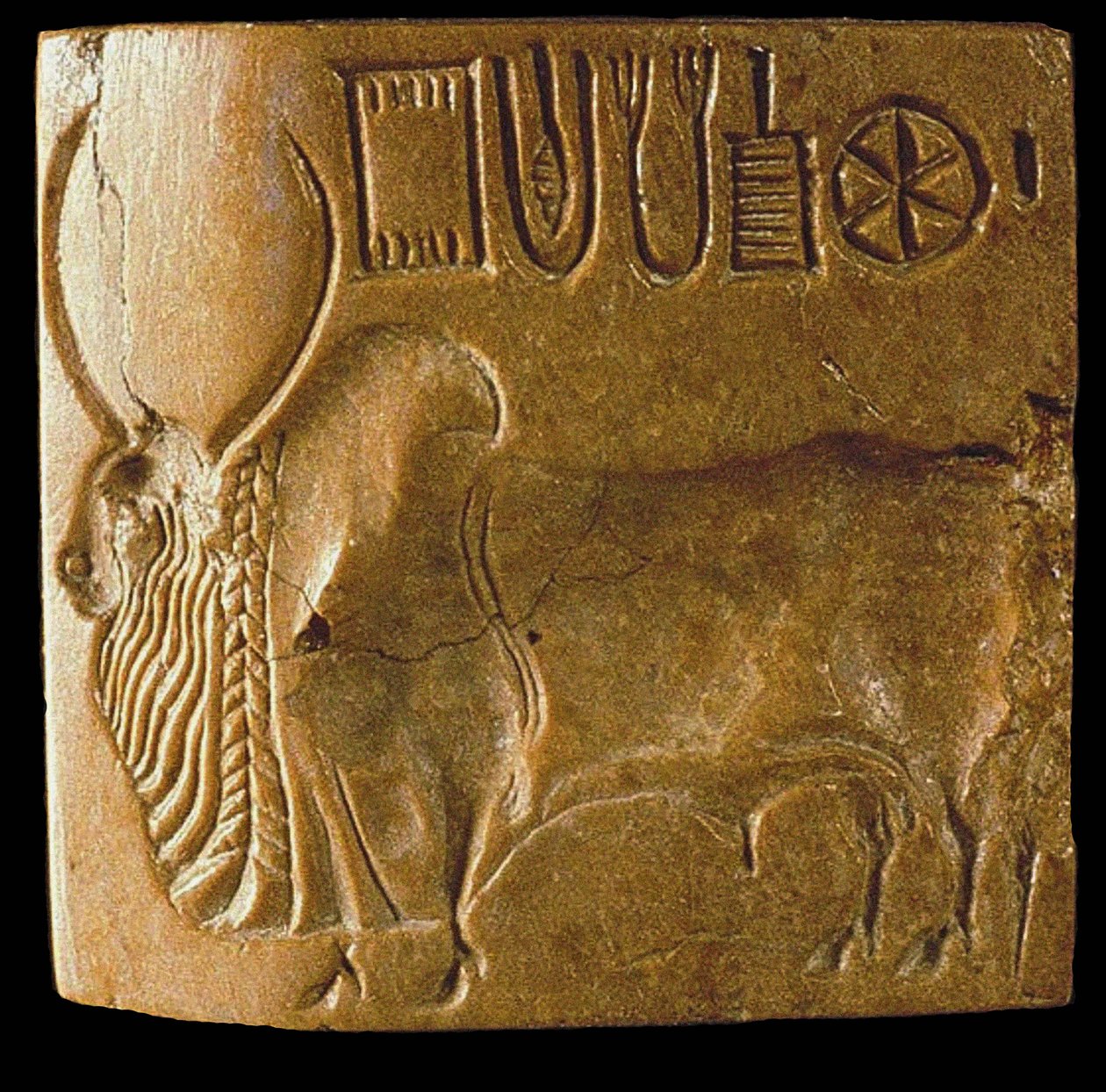Zebu Bull Seal with Indus Script Found at Mohenjo Daro, Indus Valley by Indus Valley Civilisation.