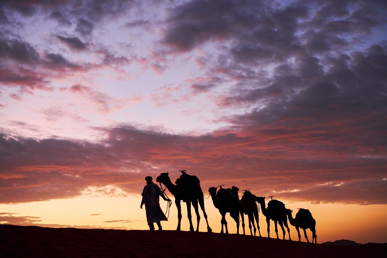A Cameleer Leads His Camels at Erg Chebbi in the Desert in Merzouga, Morocco, 2019 by Ira Block