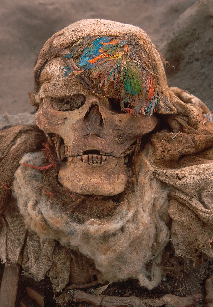 A recently unearthed skeleton wearing a feather headdress by Ira Block