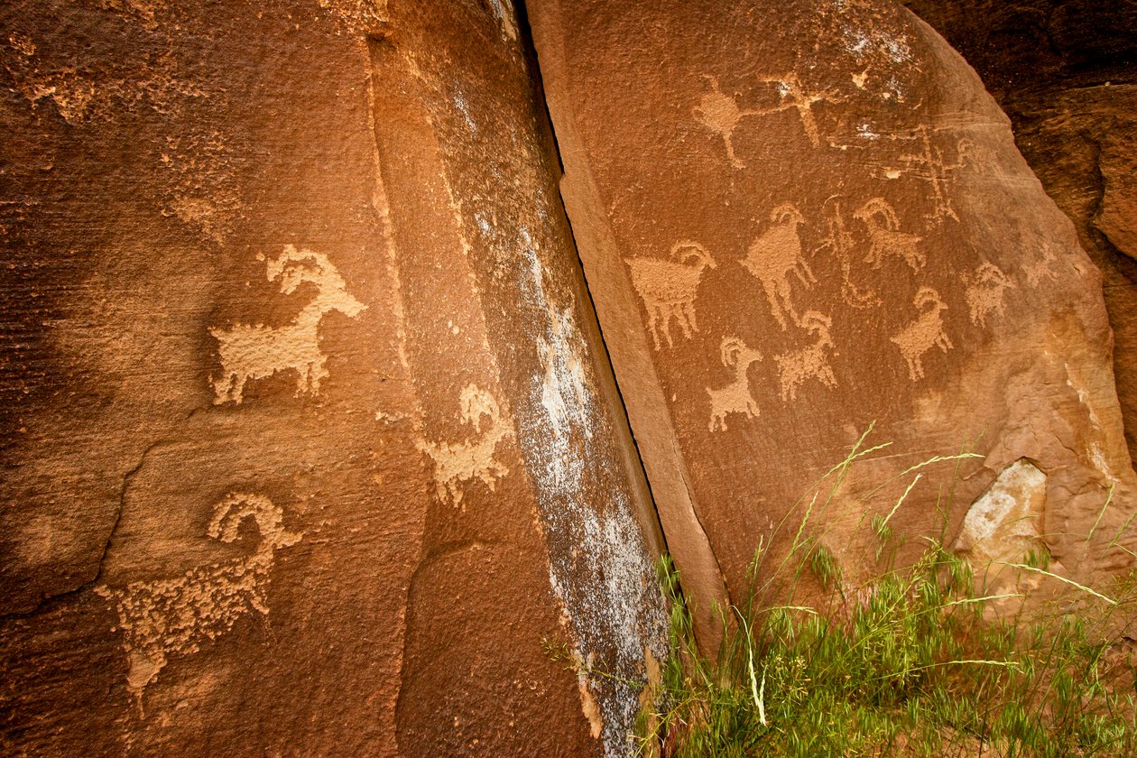 In Nine Mile Canyon, panels of sheep near the Sandhill Crane petroglyph site, 2005 by Ira Block