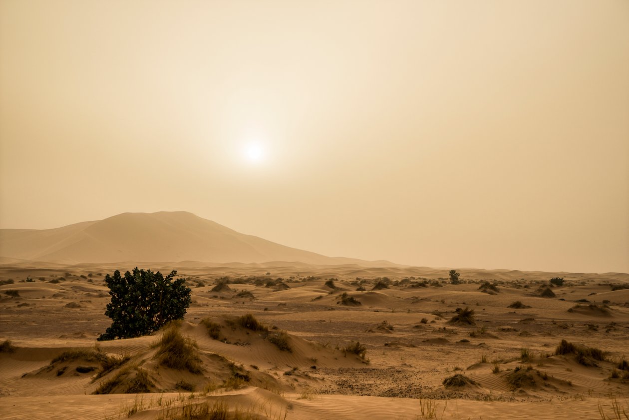 Sand dunes in the Erg Chebbi desert of southeastern Morocco by Ira Block