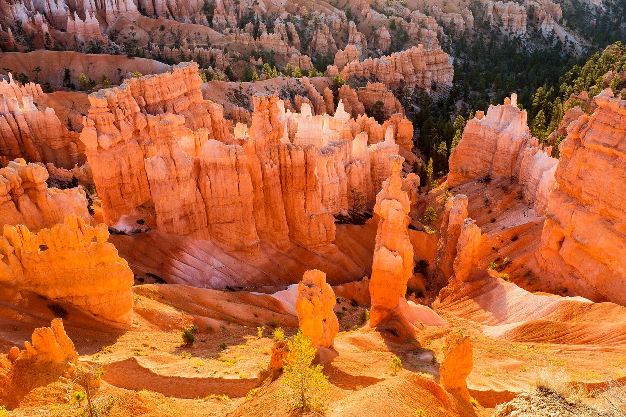 Sunrise on Hoodoos in Bryce Canyon National Park by Ira Block