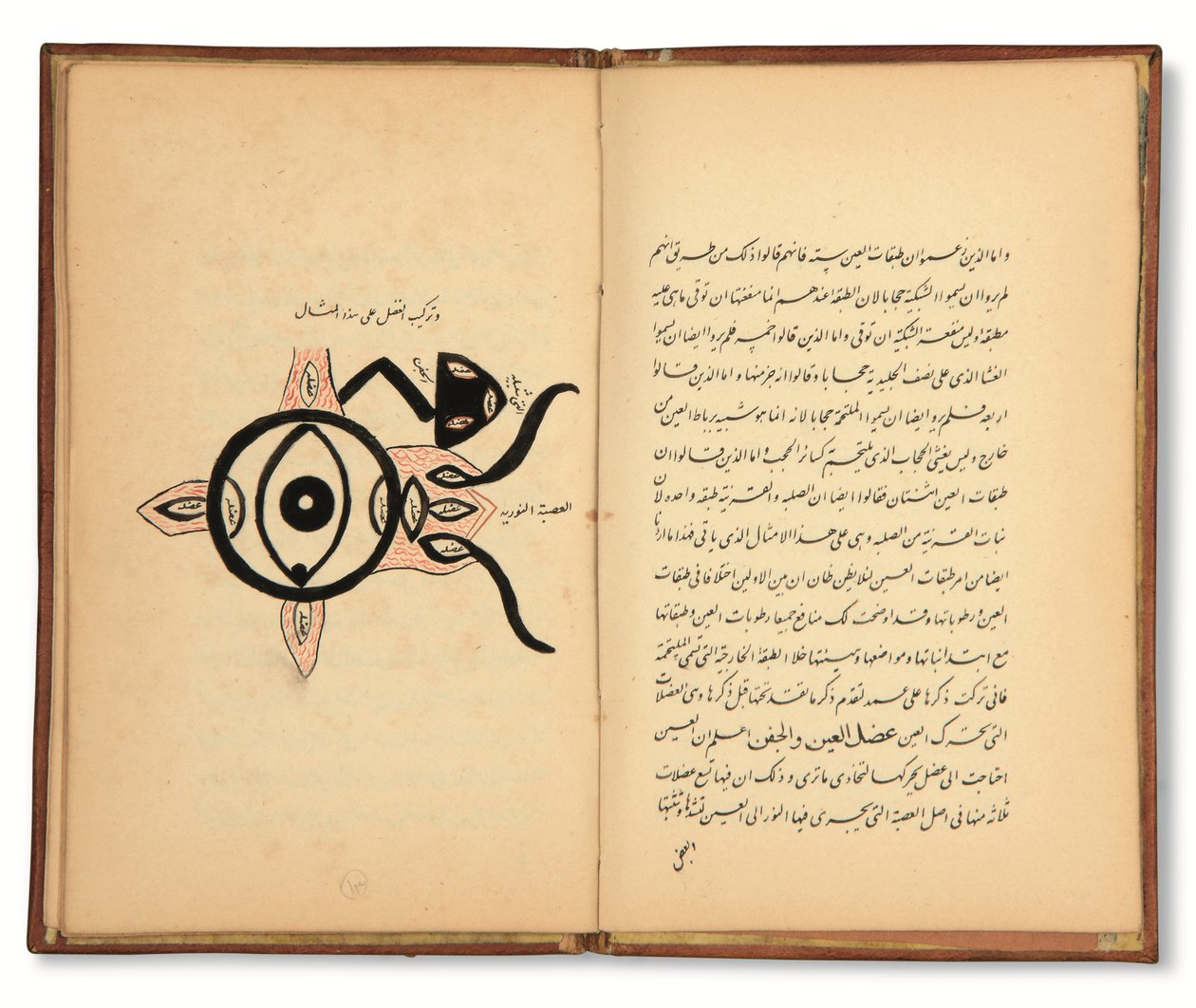 Hunayn Bin Ishaq: Three Treatises on Ophthalmology, Qajar, Iran, First Half 19th Century by Iranian School