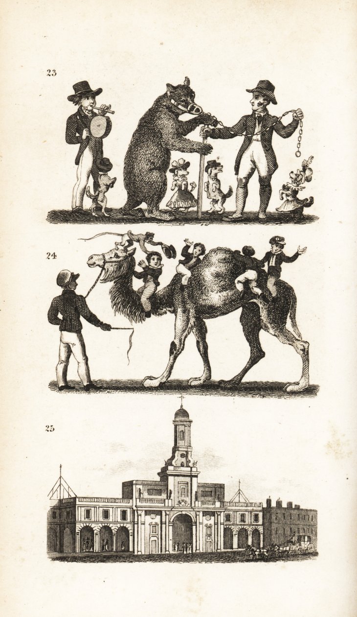Dancing Bear and Dog, Camel and Monkey and the Royal Exchange by Isaac Taylor