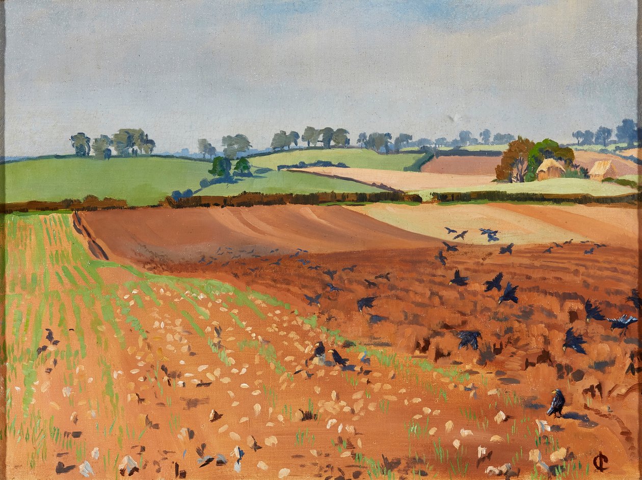 Ploughed Field by Isabel Codrington