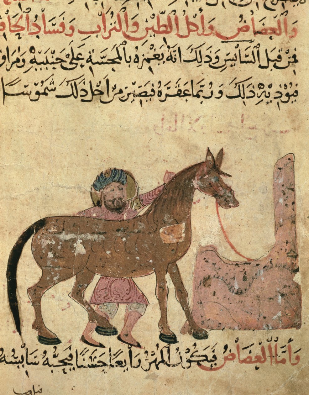 Caring for the horse, illustration from the 