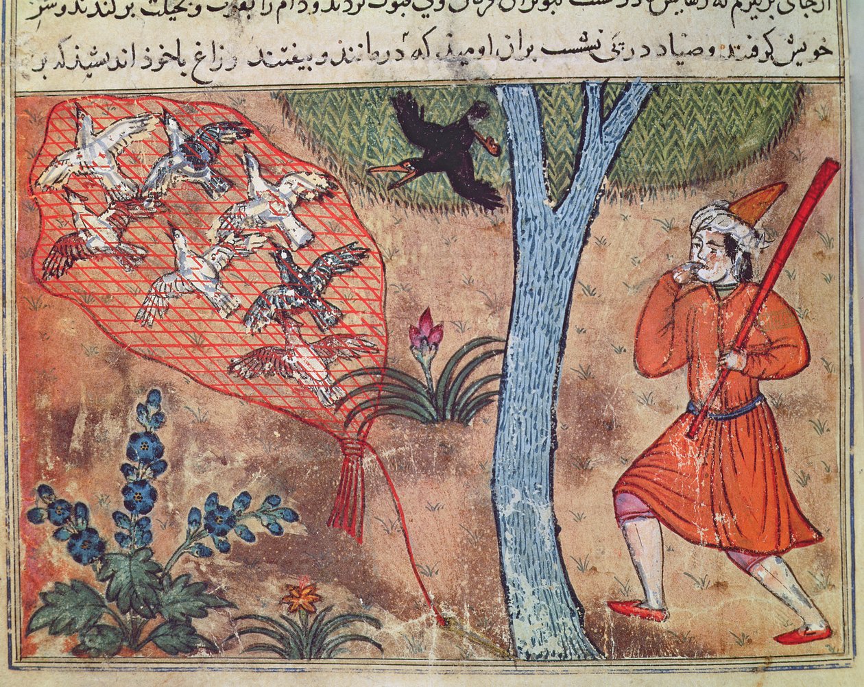 Hunting Birds, from 