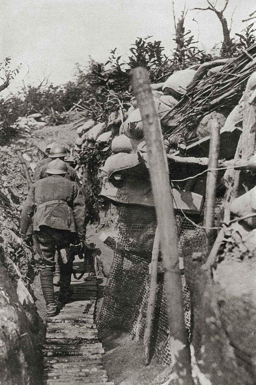 The passage through the trenches in Mount Podgora, Italy by Italian Photographer