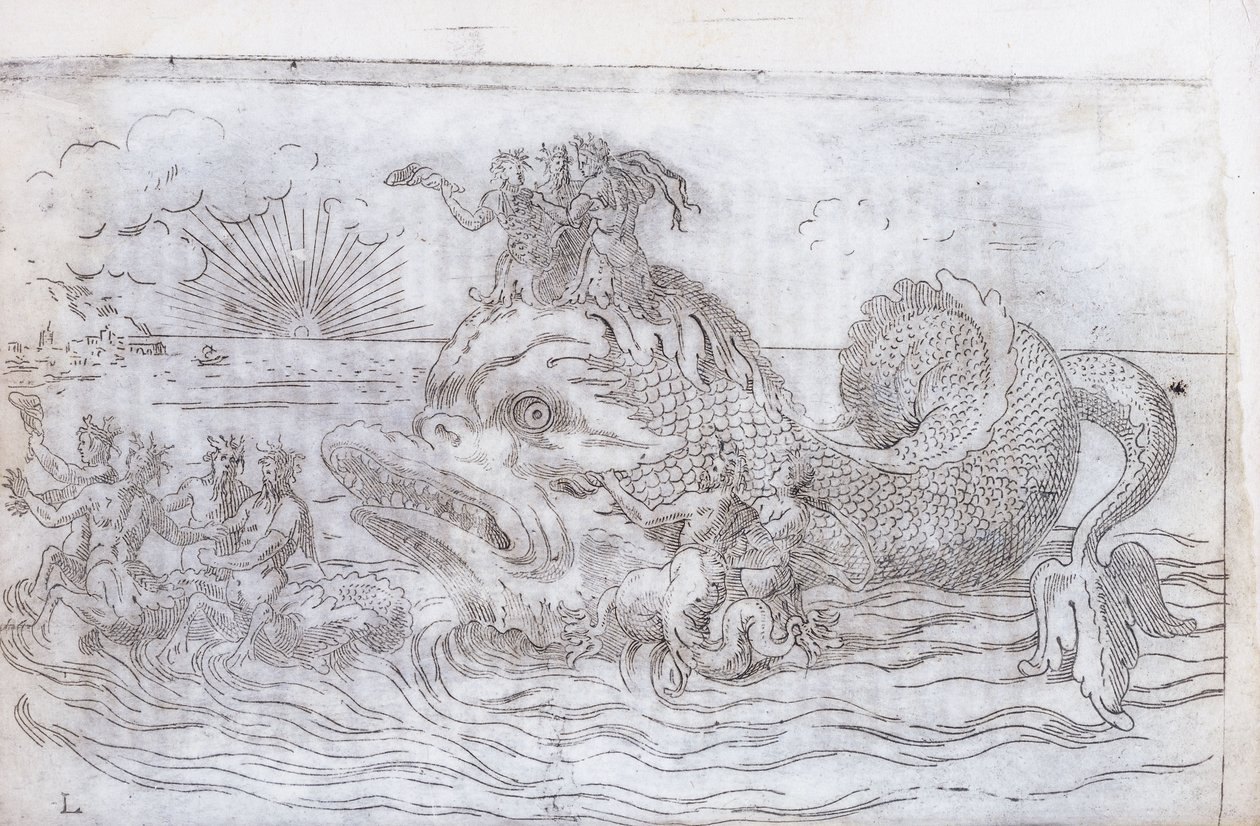 A Fantastical Fish Chariot, 1579 by Italian School
