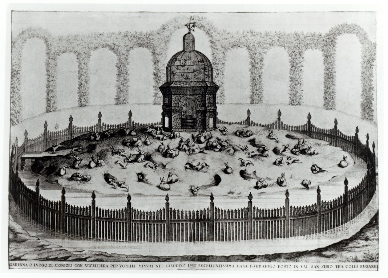 A Rabbitry with an Aviary for small birds, from Le Fabbriche e i Giardini dellEcc. Casa Barbariga, by D. Rossetti, engraved by G. Campana, published 1702 by Italian School