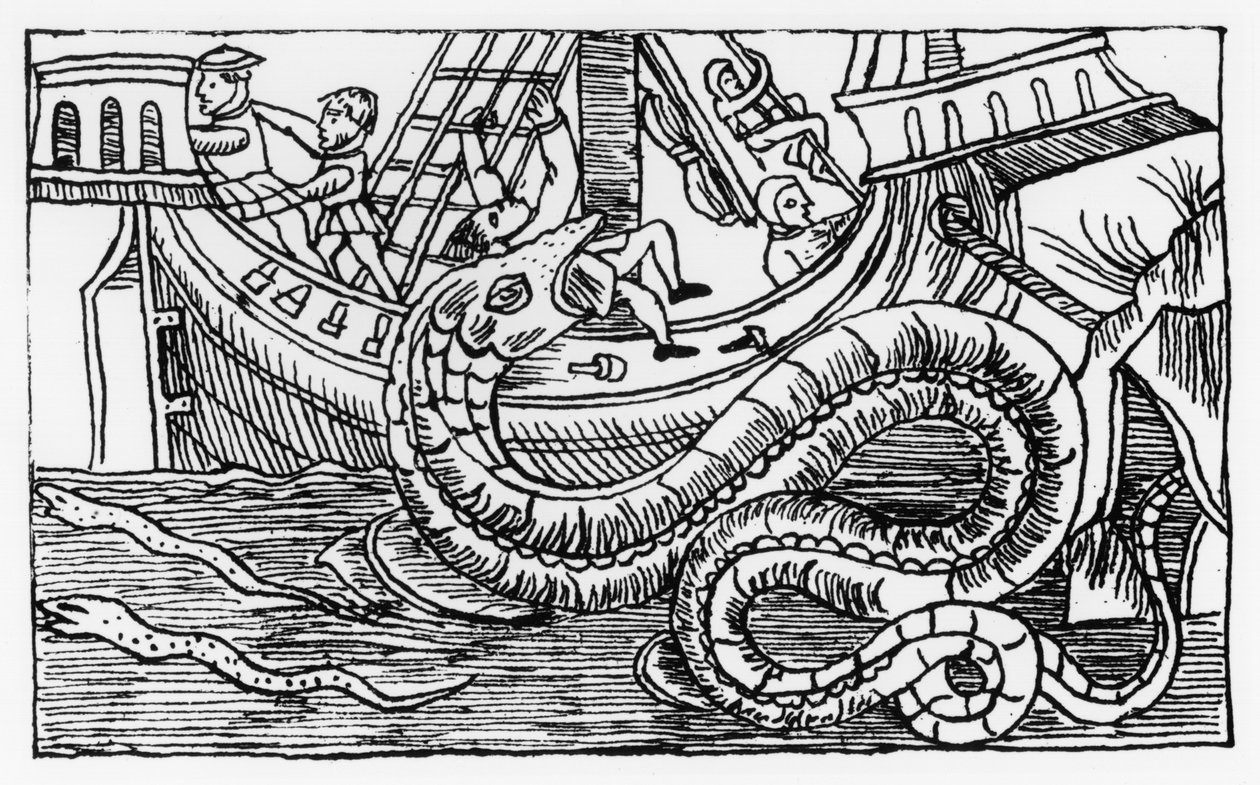 A Sea Serpent, from 'Historia de Gentibus Septentrionalibus' by