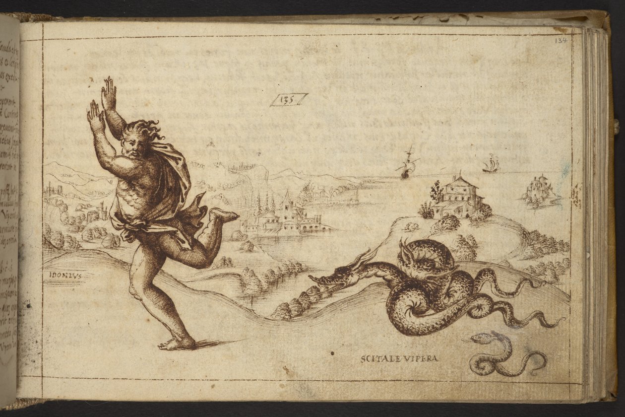 Human Figure Pursued by Serpents, from Historia Animalium by Italian School