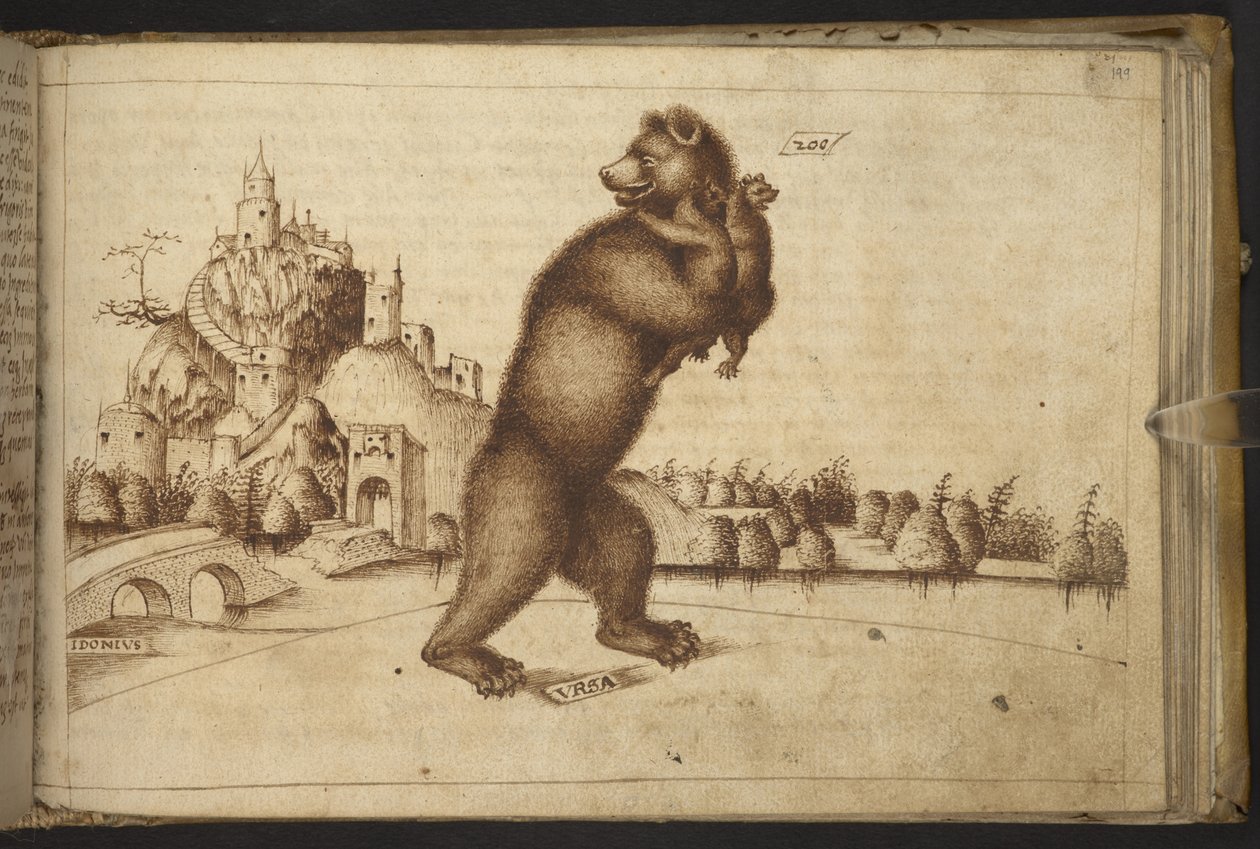Add. 82955, f.199 Bears (