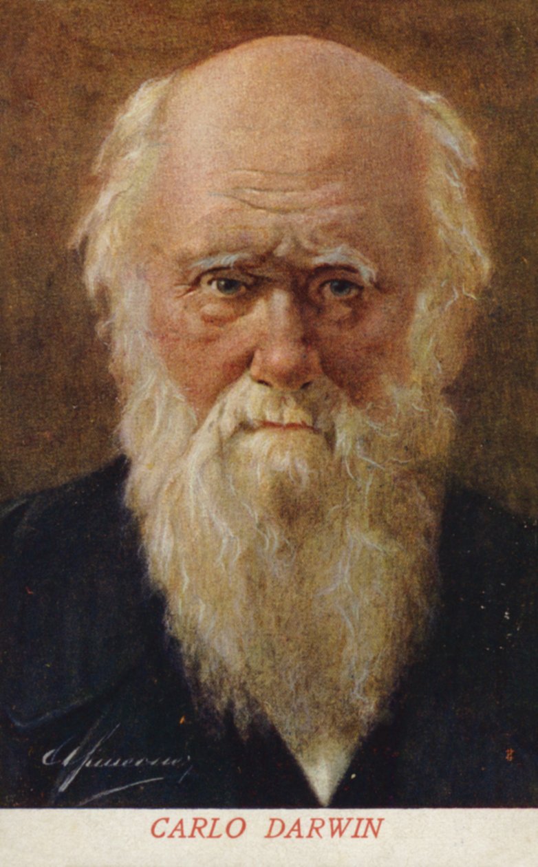Charles Darwin, English Naturalist by Italian School