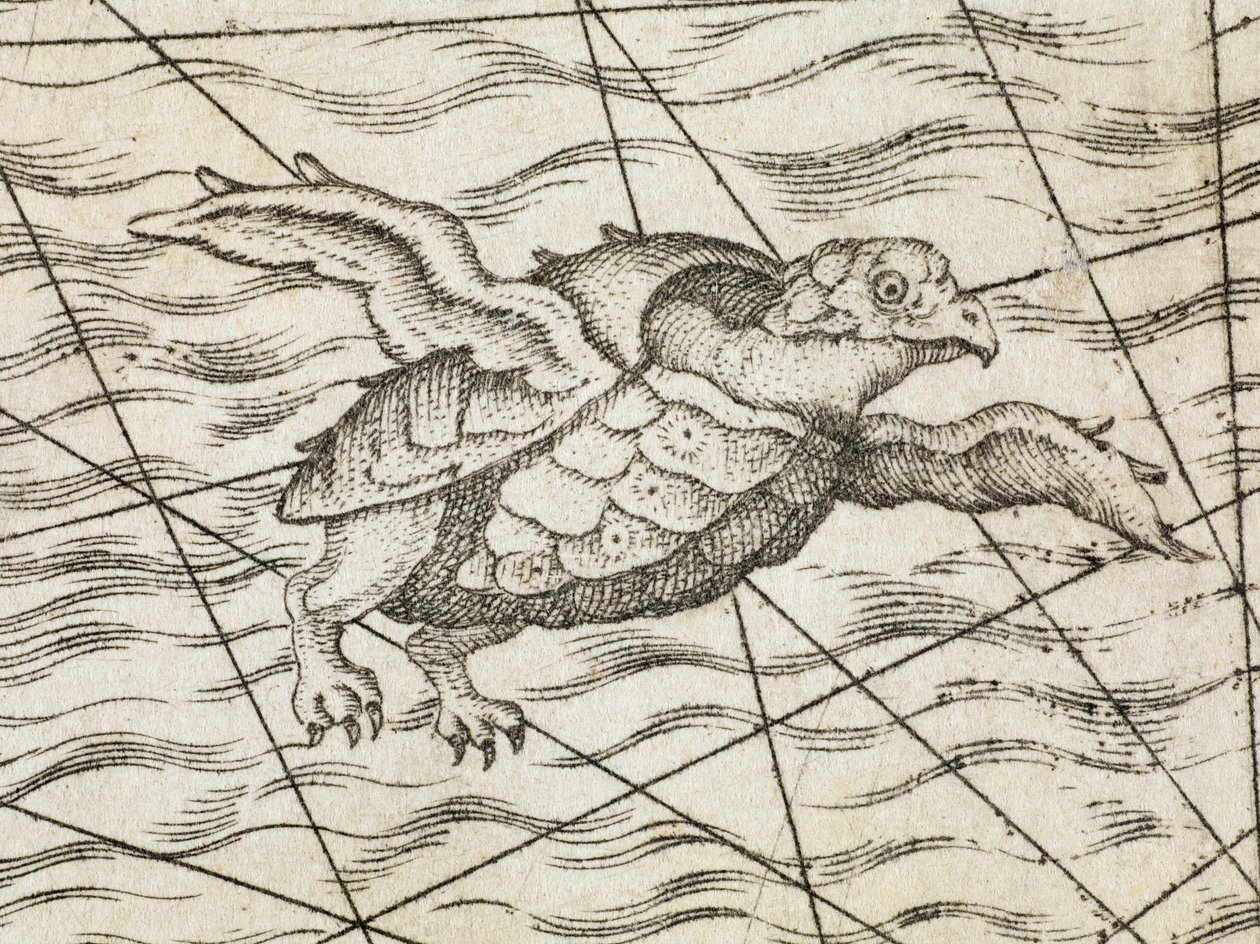 Detail of a flying turtle on a map of northern Europe, from 